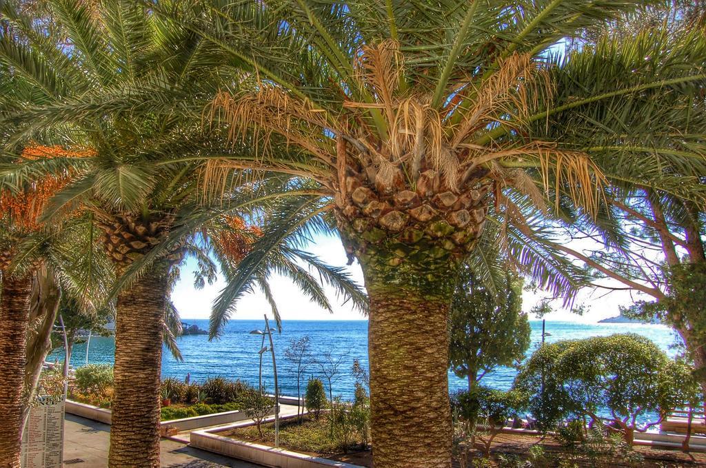 Vasiliki Seaside * Petrovac